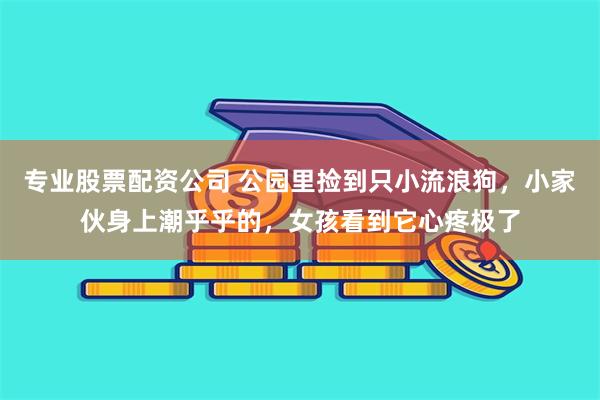 专业股票配资公司 公园里捡到只小流浪狗，小家伙身上潮乎乎的，女孩看到它心疼极了