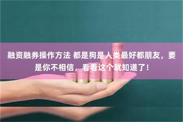 融资融券操作方法 都是狗是人类最好都朋友，要是你不相信，看看这个就知道了！