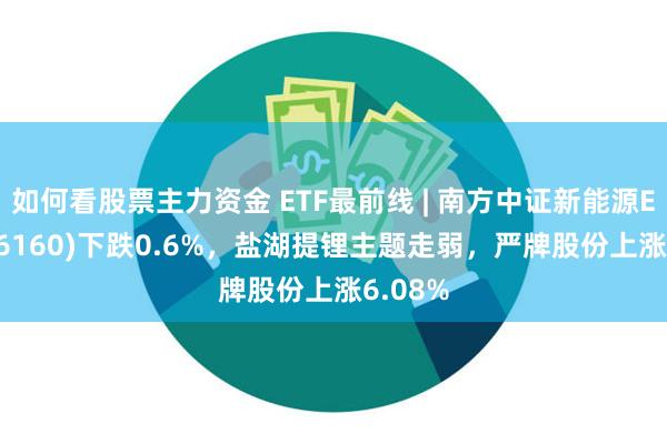 如何看股票主力资金 ETF最前线 | 南方中证新能源ETF(516160)下跌0.6%，盐湖提锂主题走弱，严牌股份上涨6.08%