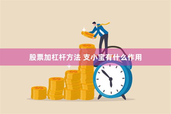 股票加杠杆方法 支小宝有什么作用