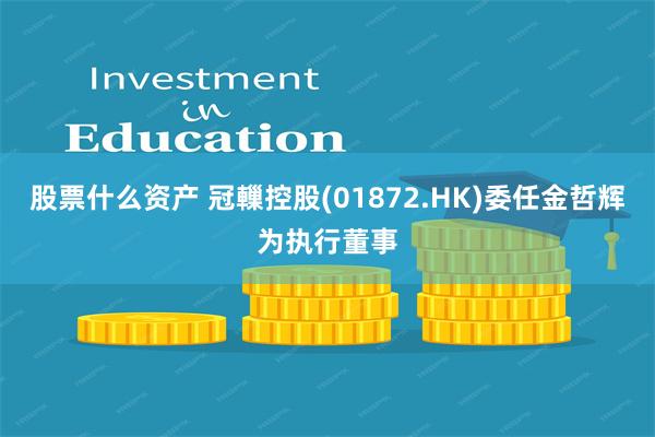 股票什么资产 冠轈控股(01872.HK)委任金哲辉为执行董事