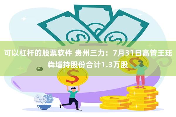 可以杠杆的股票软件 贵州三力：7月31日高管王珏犇增持股份合计1.3万股