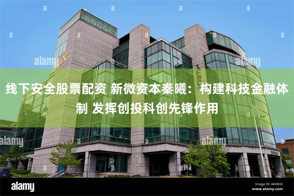 线下安全股票配资 新微资本秦曦：构建科技金融体制 发挥创投科创先锋作用