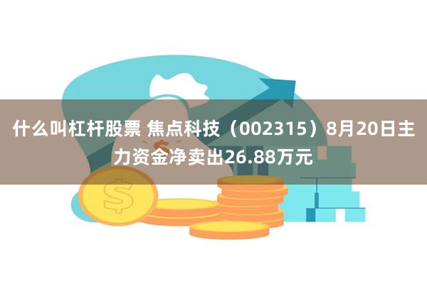 什么叫杠杆股票 焦点科技（002315）8月20日主力资金净卖出26.88万元