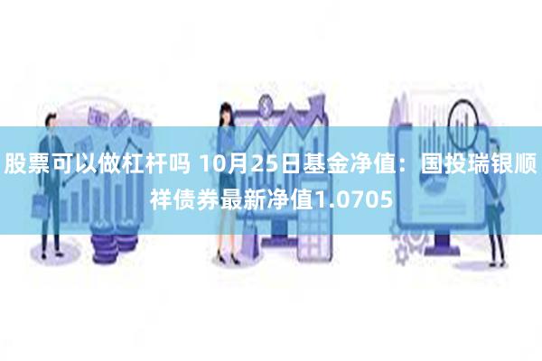 股票可以做杠杆吗 10月25日基金净值：国投瑞银顺祥债券最新净值1.0705