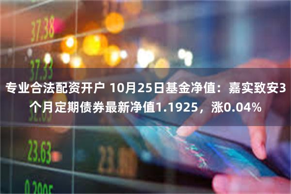 专业合法配资开户 10月25日基金净值：嘉实致安3个月定期债券最新净值1.1925，涨0.04%