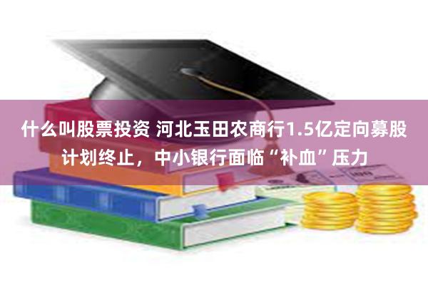 什么叫股票投资 河北玉田农商行1.5亿定向募股计划终止，中小银行面临“补血”压力