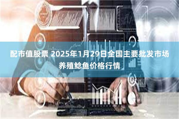 配市值股票 2025年1月29日全国主要批发市场养殖鲶鱼价格行情